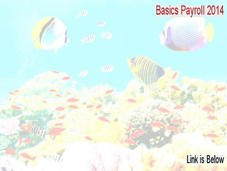Basics Payroll 2014 Free Download [Download Here]