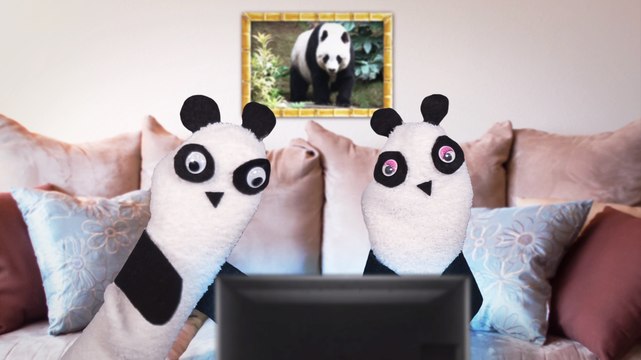 Animal Sex Facts with Sock Puppets