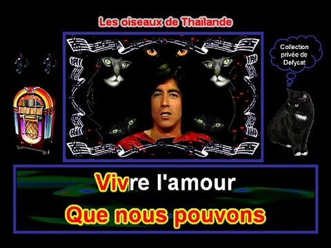 Ringo - Les oiseaux de Thaïlande.