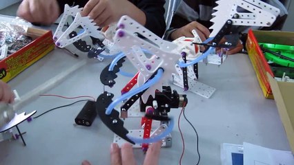 2015.2.3 瘋狂的孔鳥