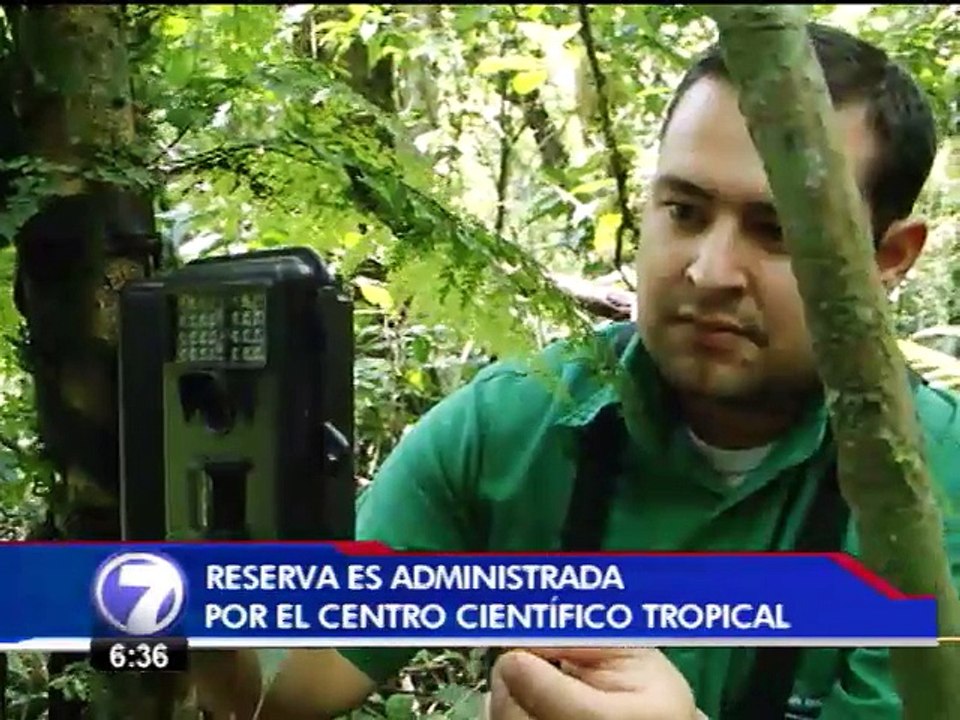 Ojos electrónicos en bosque Monteverde ayudan a conservación de animales