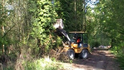 Volvo L35B PRO abattage d'un arbre mort