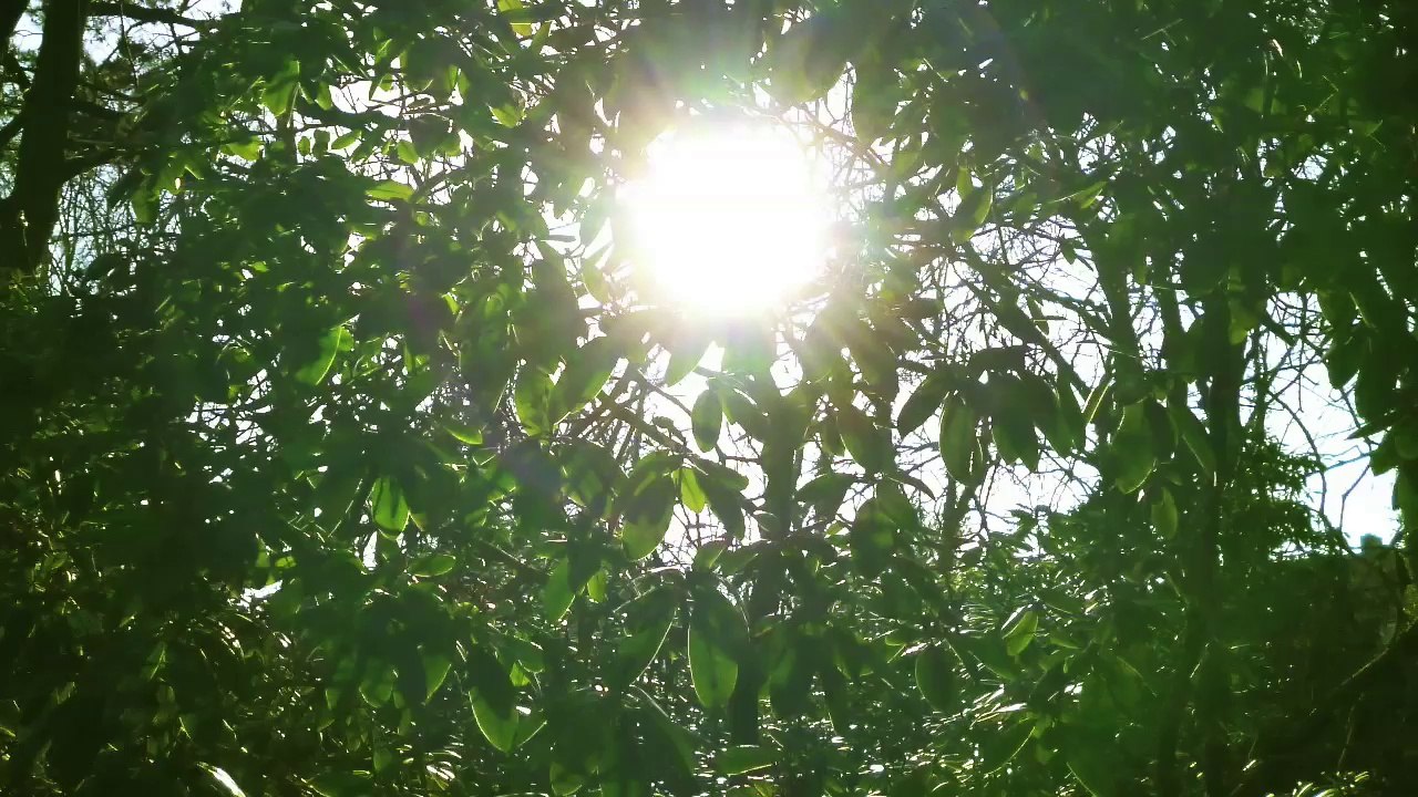 12+11 - Obatala + Andy - Fühle dich frei - Feel free (Kompletter Gesang) - Obatala ObaTali