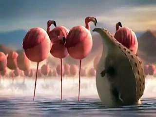 Hayvanlar Fast-food, Gazlı içecekler ve sağlıksız yiyecekler yerse neye benzerler... (Ironi yapıyoruz)