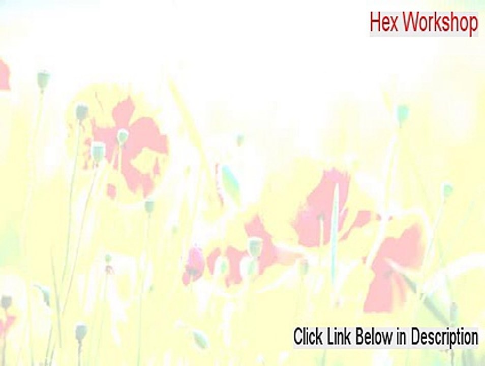 Hex Workshop Key Gen (hex workshop alternative)