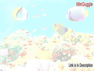 WinGuggle Crack - Free of Risk Download