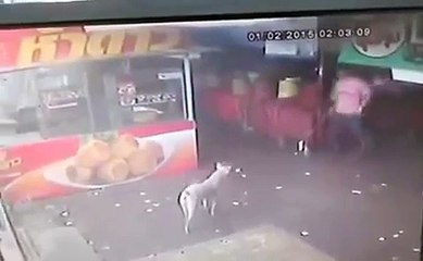 Homem tenta chutar um cachorro e acaba se dando mau