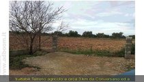 BARI, CONVERSANO   TERRENO COLTIVABILE MQ 3200 EURO 11.000