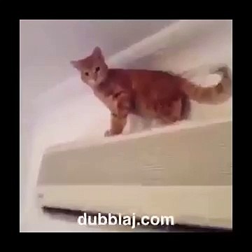 Dubblaj Türkiye.com & Kemal Sunal Dublajı !!! ben buraya niye çıktım ?