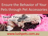 Behavior of your Pets through Pet Accessories