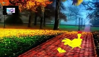 15  sonidos de aves, relajacion y meditacion