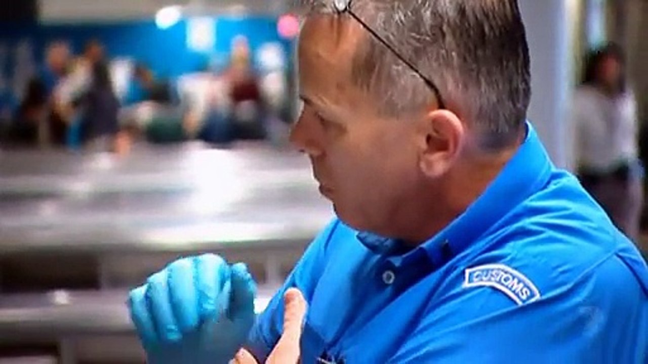 BSAF S10E04