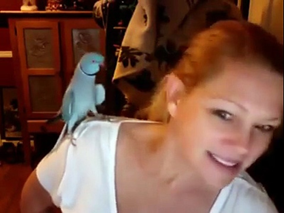 I love parrot.