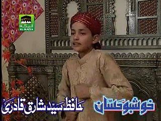 Hamd - Allah Mere Allah - Hafiz Syed Shariq Ali