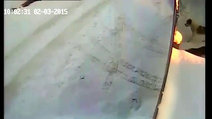 CHOC Jeux dangereux avec un chien