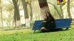 Changa Sada Yaar Ain - Afshan Zaibi - New Remix Songs - New Album Janoo