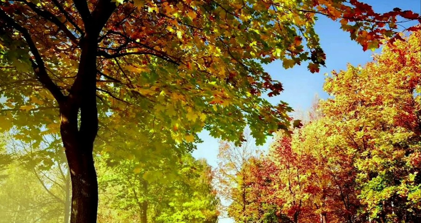 ♫　The water is wide. マッサンの妻。エリーの愛唱歌　広い河の岸辺あｂ