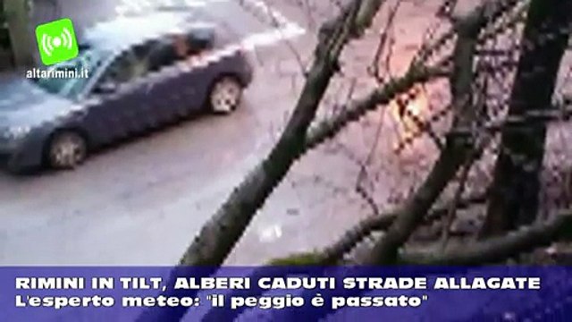 Rimini in tilt, alberi caduti e strade allagate. L'esperto meteo: 'il peggio è passato'