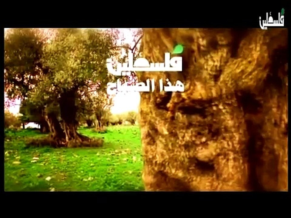 فلسطين هذا الصباح السبت 7-2-2015 ج1