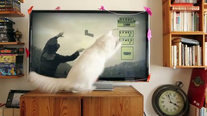 WOLVERINE CAT vs ZOBI LA MOUCHE