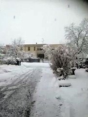 MeteoReporter Fidenza 6/02/2015