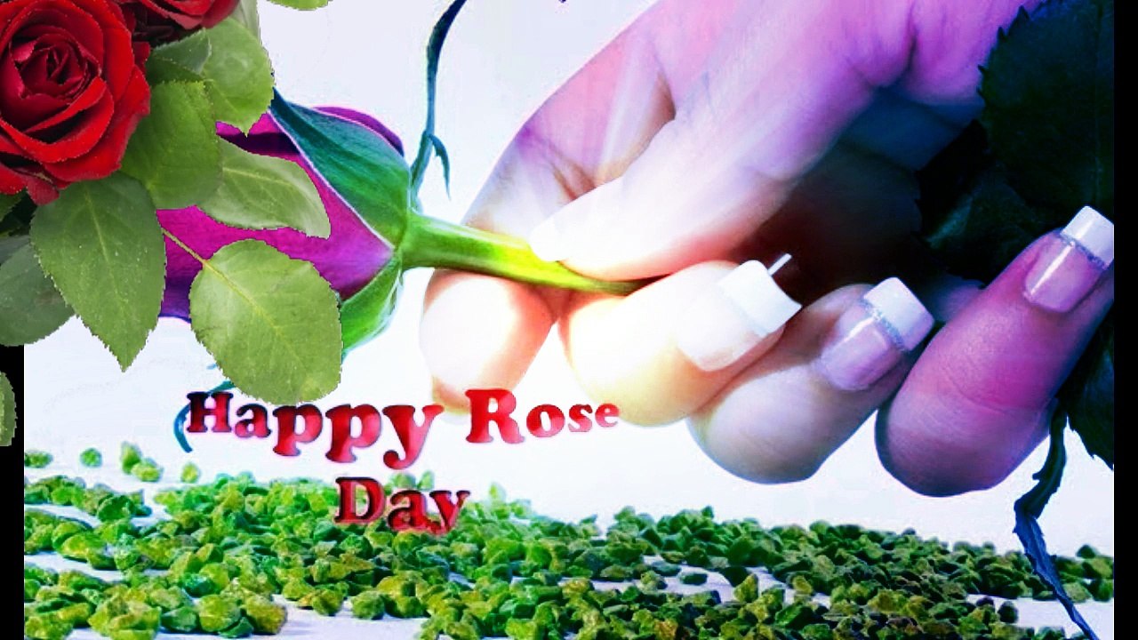 Rose Day Special 2015