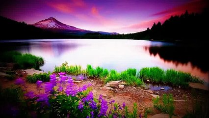 10 Beautiful Nasheeds - Best Arabic Poems -