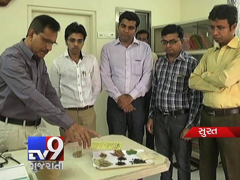 Ayurvedic doctors prescribe home remedies to avoid swine flu, Surat - Tv9 Gujarati