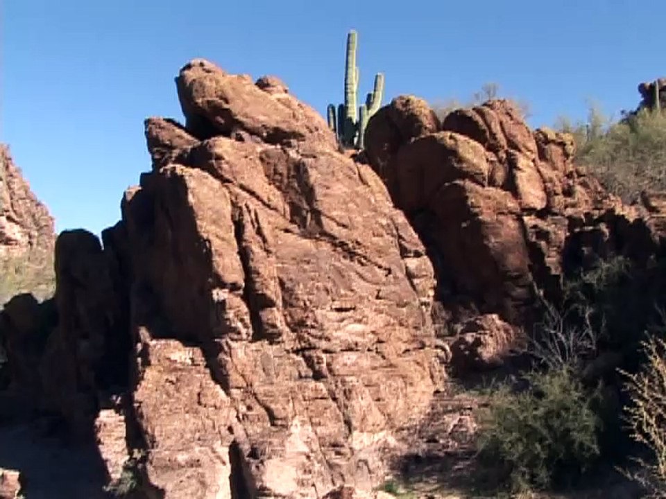 Saguaro National Monument (Billy Pollard plays "God Bless America")