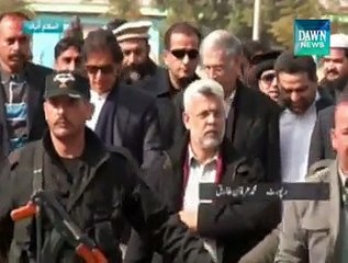 Imran Khan declares war against timber mafia in KPK