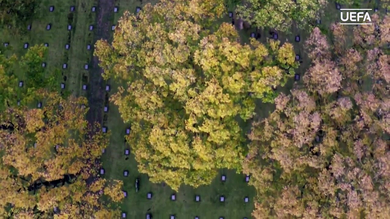 UEFA marks 100th anniversary of World War One truce