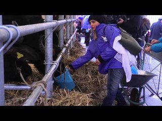 Napoli - Il ''macca day'' della Coldiretti in piazza Dante -2- (06.02.15)
