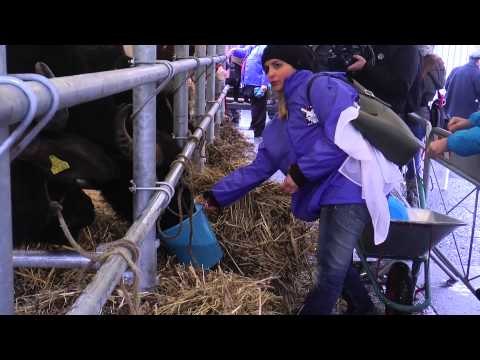 Napoli - Il ''macca day'' della Coldiretti in piazza Dante -2- (06.02.15)