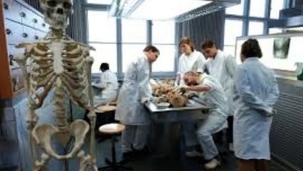 2015 Free Medical Stock Photos and Videos