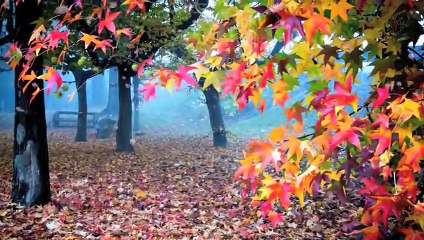 Allama Iqbal - پھول کی پتی سے کٹ سکتا ہے ہیرے کا جگر - ( Short Clip - Trashreeh )