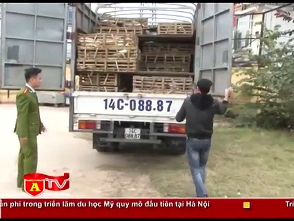 Le sauvetage de milliers de chats destinés à être mangés au Vietnam