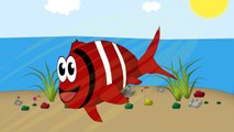 Kırmızı Balık - Çizge TV  - Çizgi Film - Okul Öncesi - Ana Okulu - Çocuk Şarkıları