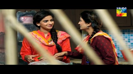 Digest Writer Episode 19 Part 1 HUM TV Drama 7 Feb 2015