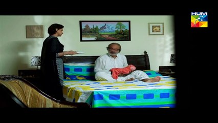 Digest Writer Episode 19 Part 3 HUM TV Drama Feb 07, 2015