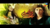 Digest Writer Episode 20 Promo HUM TV Drama