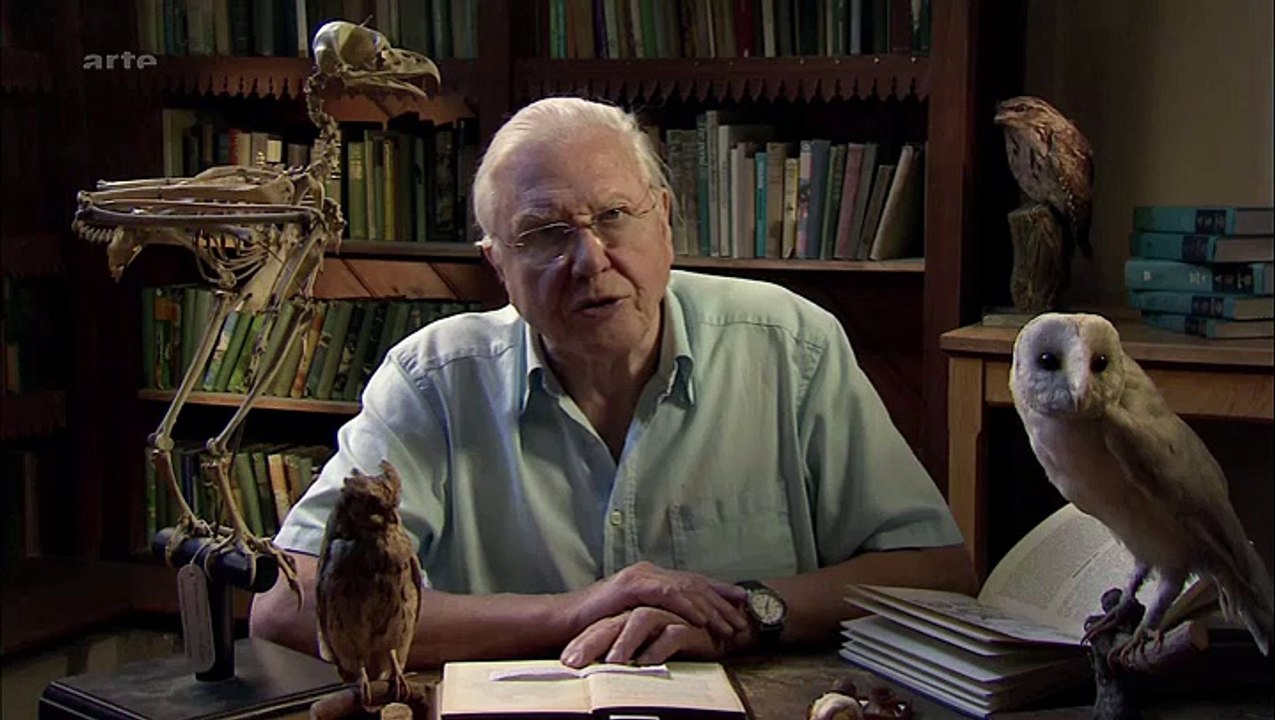 Curiosités animales_Nuit & fonds sous-marins