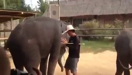 Very Amaing Video online - Funny Video