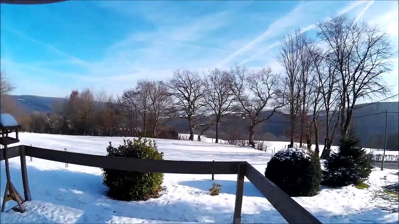 L'hiver dans mon jardin