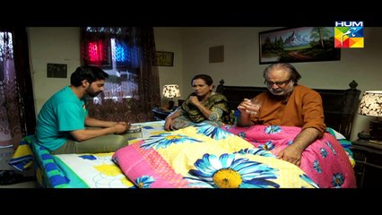 Digest Writer Feb 07, 2015 19 Full Episode HUM TV Drama