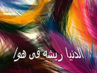 الدنيا ريشه فى هوا - سعد عبدالوهاب