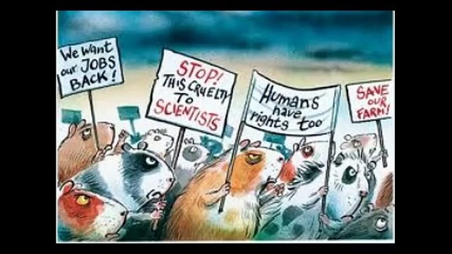 Murad's Favorite Quotations Edition 01 Animal Rights and Veganism