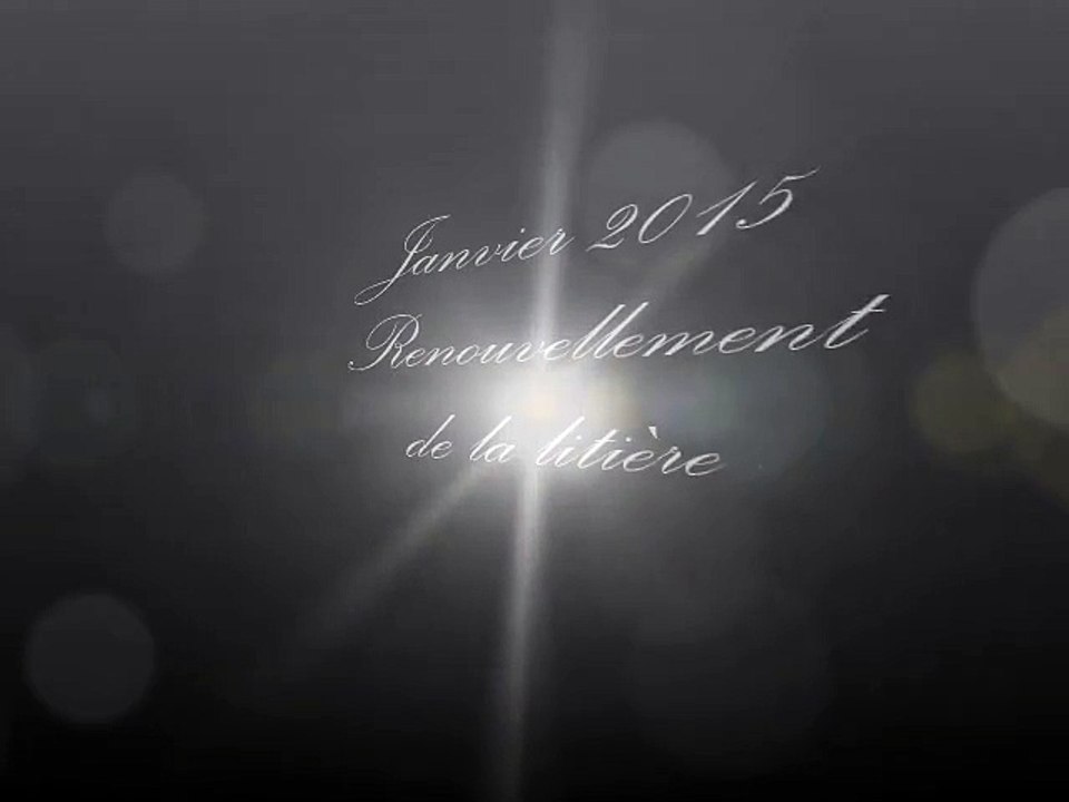 janvier 2015 renouvellement de la litière
