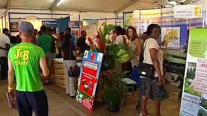 Reportage salon de l'étudiant