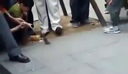 World's Most Amazing Videos   Spparows Collecting Dollars to the People