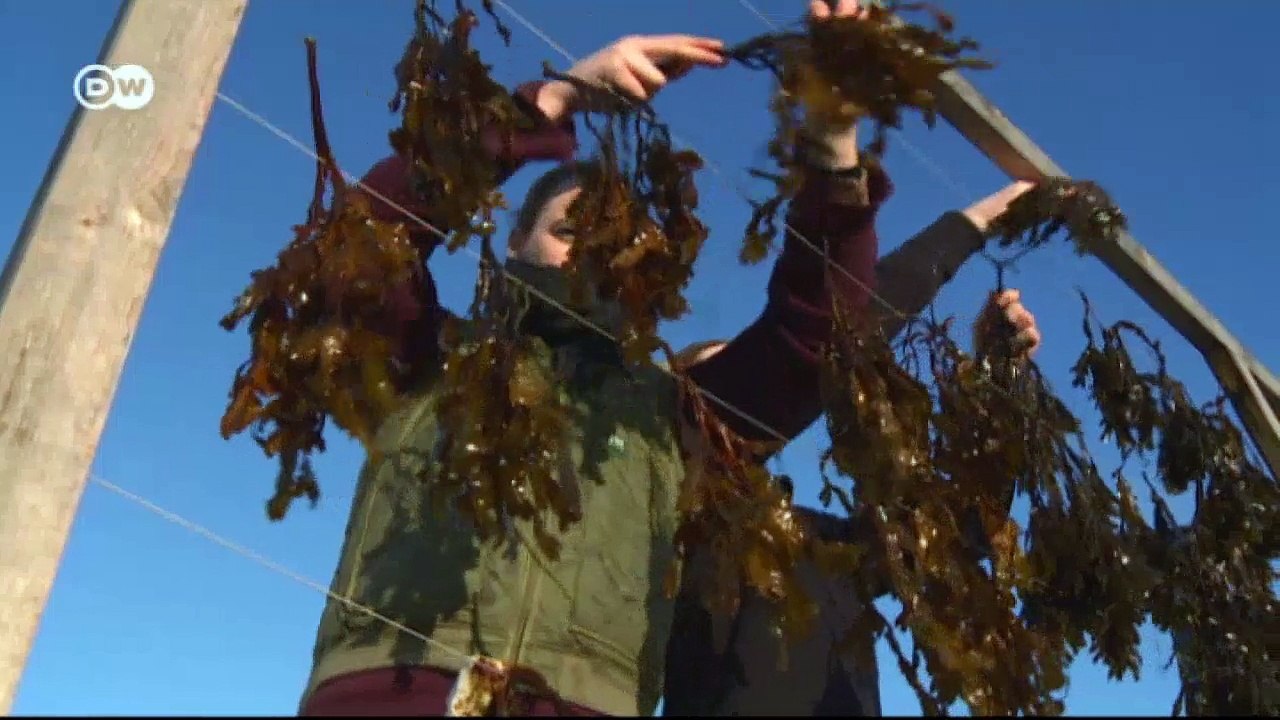 Nordisches Design: Die Nachhaltigen | Euromaxx